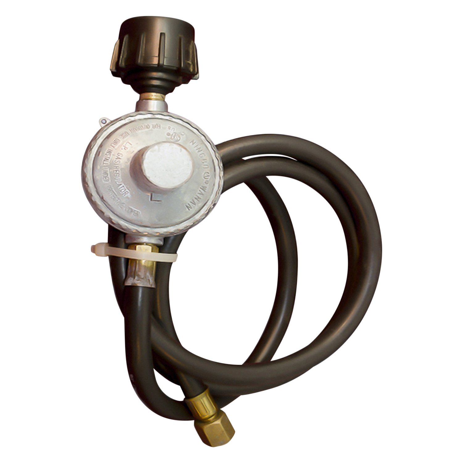 Eccotemp® L10 L10 Series LP Gas White Portable Tankless RV Water